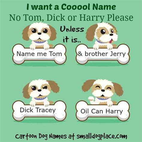 Clever Cartoon Dog Names for Your New Pup or Dog