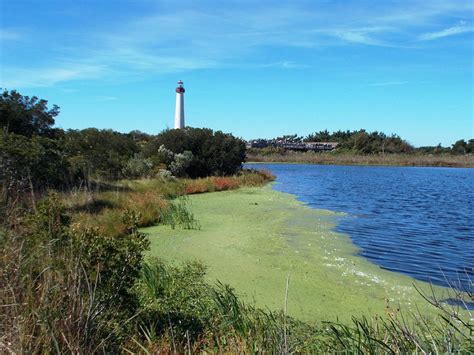 Cape May Point, NJ 2023: Best Places to Visit - Tripadvisor