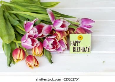 Happy Birthday Card Tulips On White Stock Photo 623202704 | Shutterstock