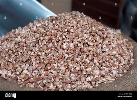 Betel nut for sale at market Stock Photo: 130405538 - Alamy