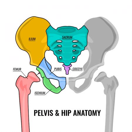 Hip & Pelvic Fractures Treatment Portland & Beaverton OR