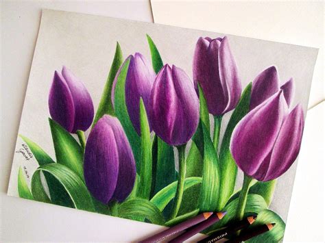 Prismacolor premier colored pencils drawing by Klaudia Cymorek | Beginner painting, Pencil ...