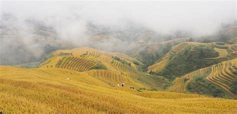 The Jinkeng Rice Terraces - Site for Most Awesome Longji Photos