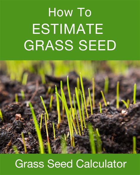 Grass Seed Calculator - Inch Calculator | Grass seed, Seeds, Grass