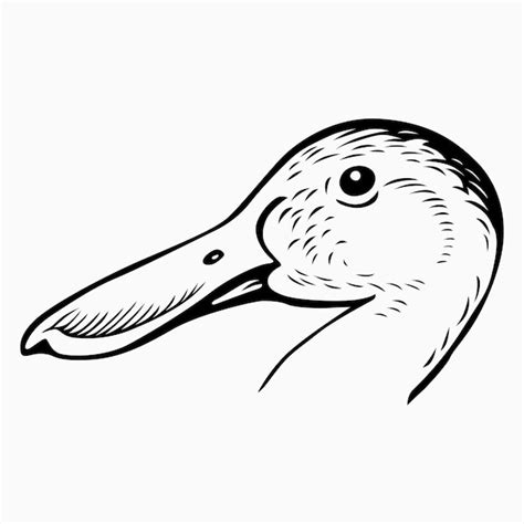 Premium Vector | Duck bird head