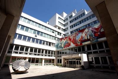 MASTER OF SCIENCES IN BIOTECHNOLOGY - SLOVAK UNIVERSITY OF TECHNOLOGY IN BRATISLAVA, THE SLOVAK ...