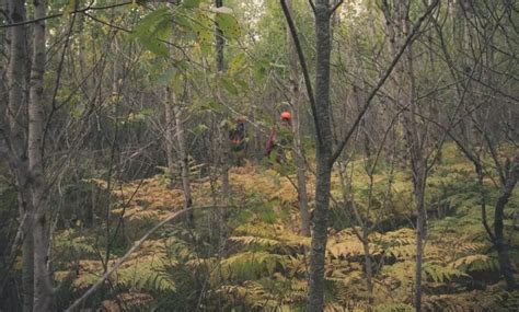 ruffed-grouse-habitat - Project Upland