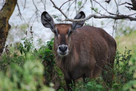 Full-Day Arusha National Park Safari - Twanga Touring - experience in the north of Tanzania