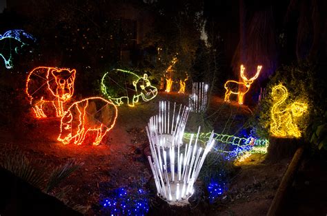 ZooLights at the Phoenix Zoo - Top Places to See in Arizona