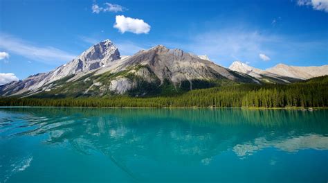 Maligne Lake Tours - Book Now | Expedia