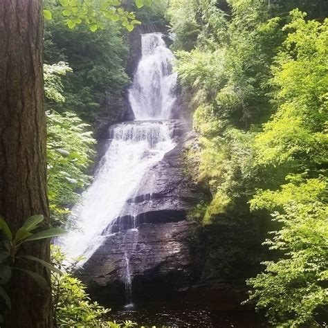 7 Of The Greatest Scenic Hiking Trails In Pennsylvania For Beginners