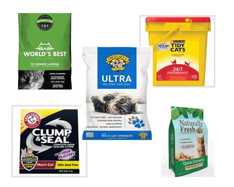 Cat Litter Brands | The Cat Litter Expert