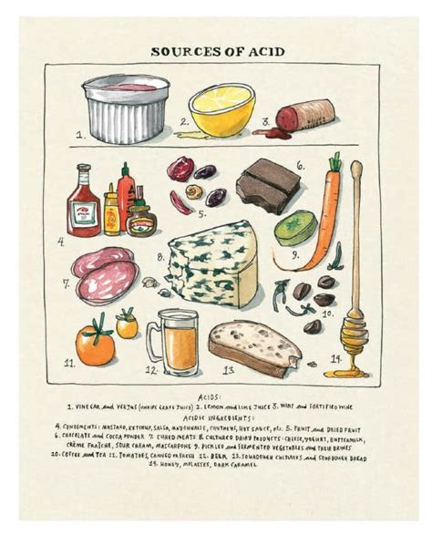 The One Cookbook To Buy In 2017: 'Salt, Fat, Acid, Heat' by Samin Nosrat