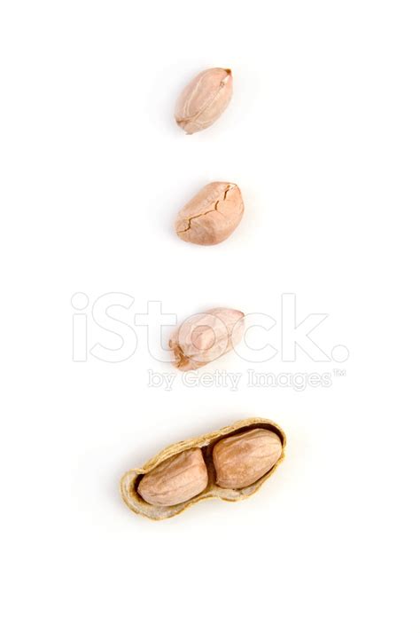 Ground Nuts Stock Photo | Royalty-Free | FreeImages