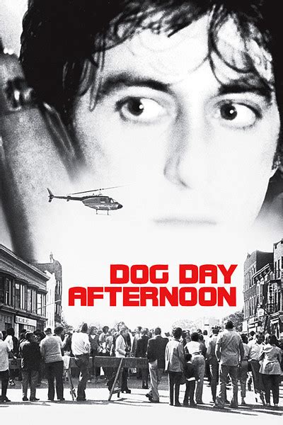 Dog Day Afternoon movie review (1975) | Roger Ebert