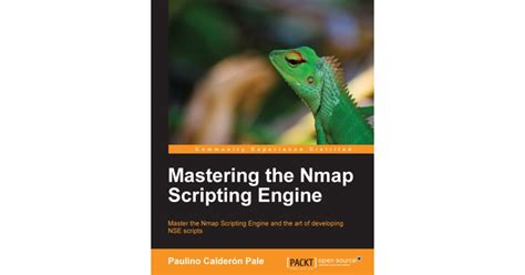 Mastering the Nmap Scripting Engine[Book]