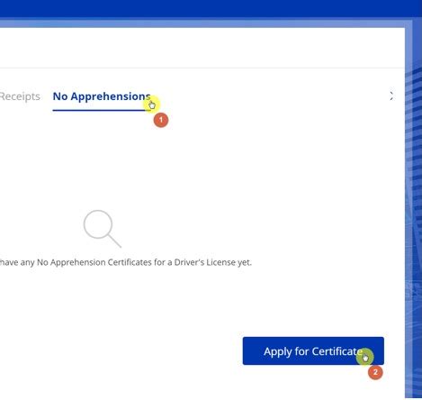 Ultimate Guide for Using LTO Portal: Motorist Tips