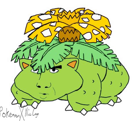 shiny venusaur on Tumblr