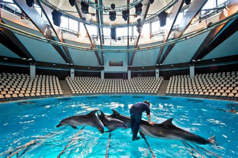 Dolphinarium in Klaipeda, Lithuania Museum - e-architect