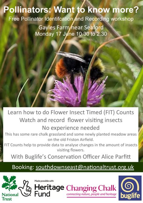 Pollinator Identification and Recording Workshop - Upcoming events ...