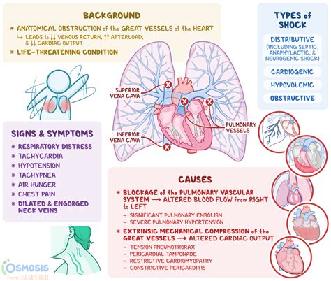 What Is Shock Types Of Shock at Marvin Haddad blog