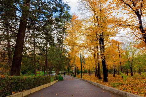 Famous Parks in Tehran | Top Parks Located in Tehran To Spend Some Time ...