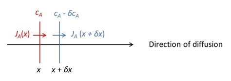 19.15 The diffusion equation – Thinking about Science with David Hukins