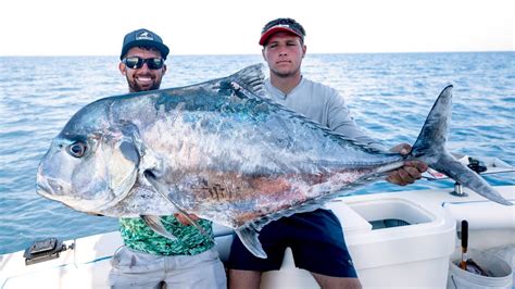 MASSIVE African Pompano & Amberjacks - Camping