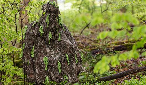 Products - Here you can see them, but in the field they are invisible ...