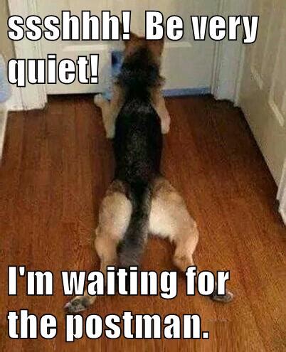 I Has A Hotdog - postman - Funny Dog Pictures | Dog Memes | Puppy Pictures | Pictures of dogs ...