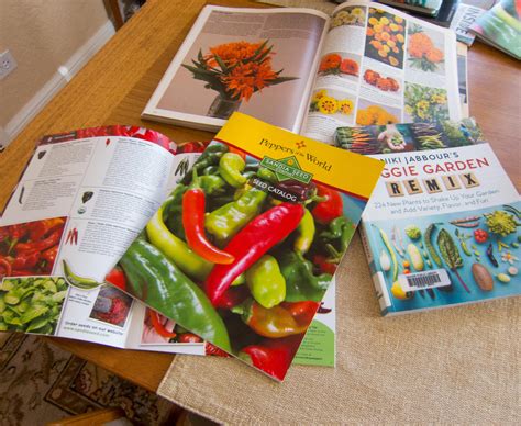 Seed Catalogs – Sandia Seed Company