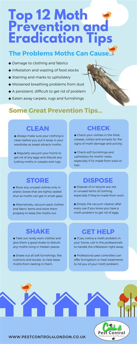 My publications - 12 Great Moth Prevention Tips - Page 1 - Created with ...