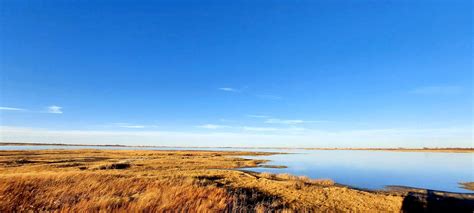 Quivira National Wildlife Refuge — Birdhouse.farm