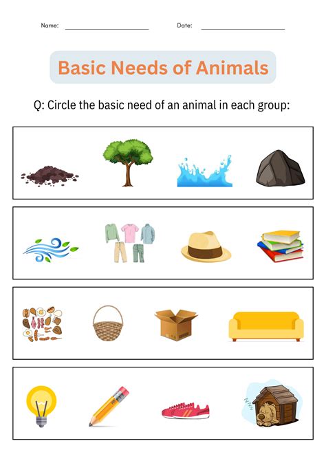 Basic Needs of Animals Activities - Taking Care of Animals Worksheet ...