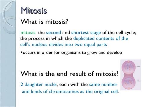 Sci 9 Lesson 2 Feb 23 - Ch 5.1 Mitosis