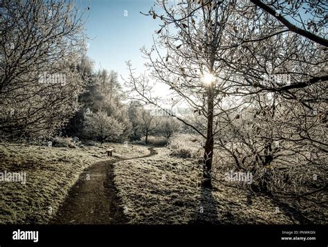 Erskine bridge, Scotland Stock Photo - Alamy