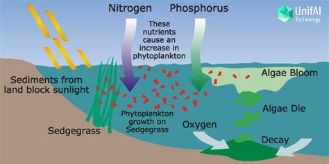 Nutrient pollution in water eutrophication & hypoxia - The Water ...