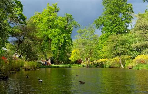 Savill Gardens, May 2019, 1 © Jonathan Billinger cc-by-sa/2.0 :: Geograph Britain and Ireland