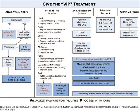 The VIP treatment: A comprehensive post-fall assessment guideline