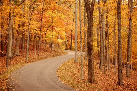 Running trails | Every mile a memory! | Trail, Autumn scenery, Trail running