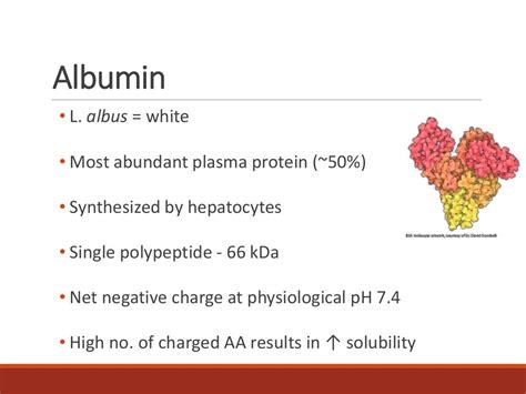 Serum Protein and Albumin-Globulin Ratio