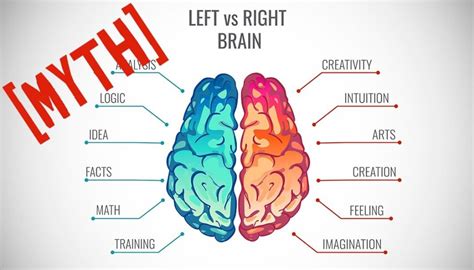 Myth: The left and the right brain hemisphere are fundamentally different