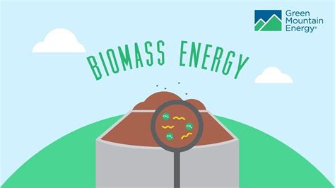 8 Photos Biomass Energy For Kids And View - Alqu Blog