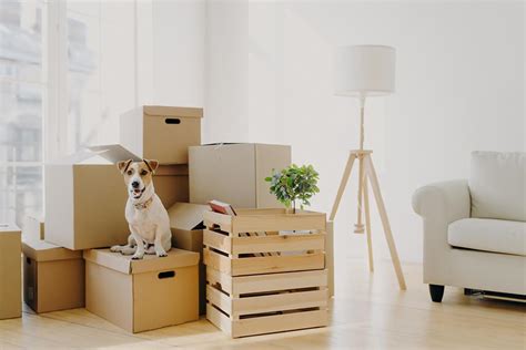 Cheap Chicago Movers | Best Chicago Moving Companies | Local Chicago ...