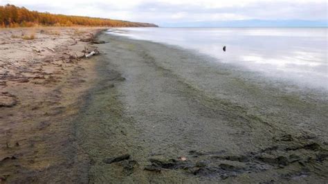 Lake Baikal is in peril, scientists warn - CGTN