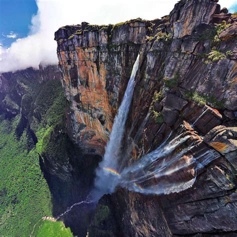 Angel Falls (the world's highest uninterrupted waterfall) - Parque ...