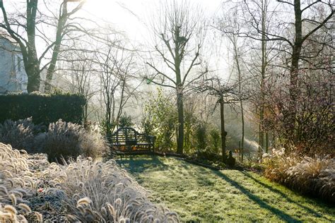 Essential Gardening Jobs To Do In January