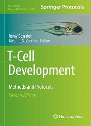 T-Cell Development