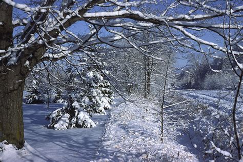 northern Wisconsin winter scene Photograph by Mark Wallner - Fine Art America