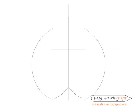 How to Draw a Lynx Face & Head Step by Step - EasyDrawingTips